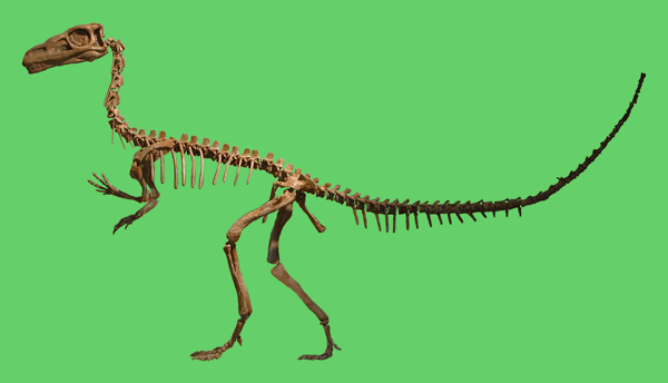 Guaibasaurus Primal Rift
